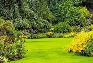 Butterfly Garden at Saniket WYCE Exclucity